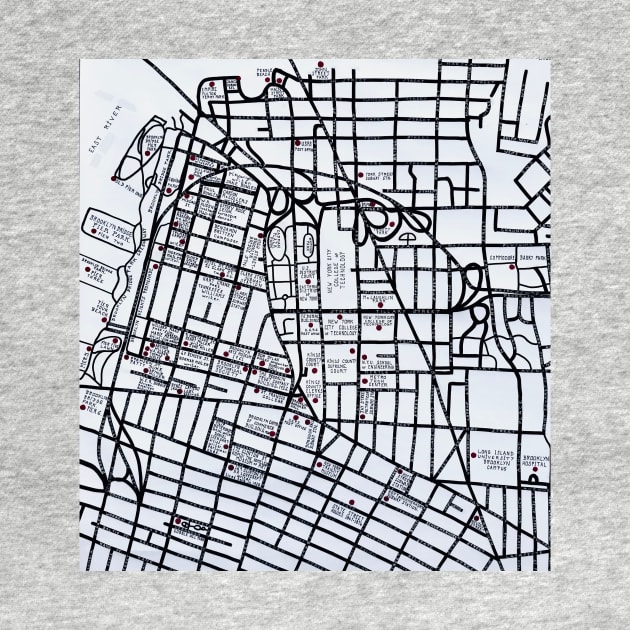 Literary Map of Brooklyn by Ideacircus